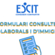 Formulari consultes sociolaborals i d'immigració